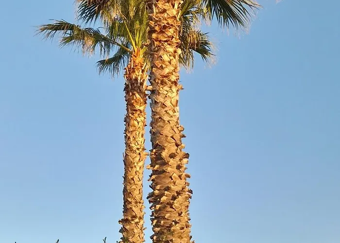 Cap Saint Martin Marina 3*