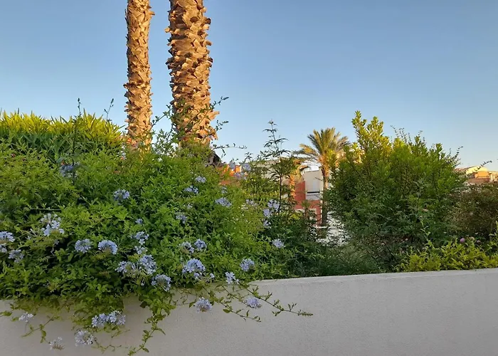 Cap Saint Martin Marina 3* アグド